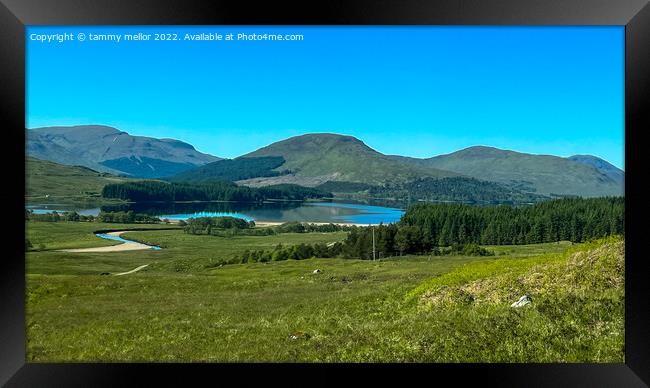 Majestic Scottish Landscape Framed Print by tammy mellor