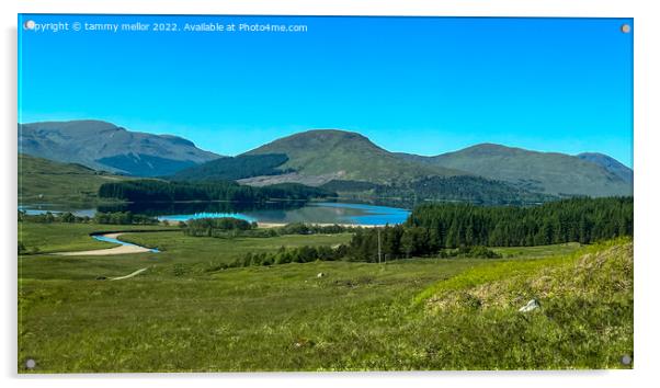 Majestic Scottish Landscape Acrylic by tammy mellor