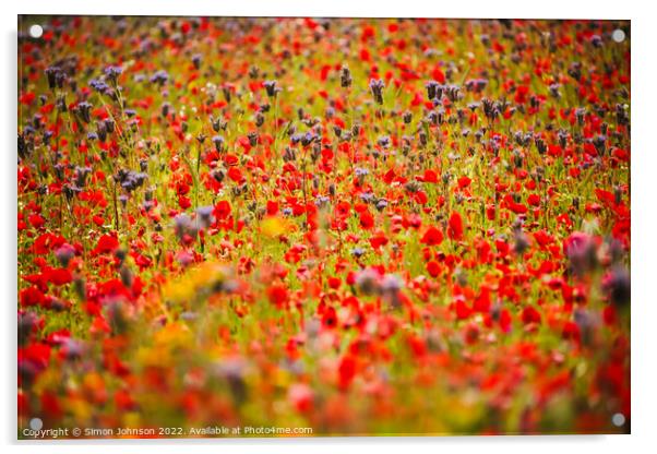 Cotswoid Poppies Acrylic by Simon Johnson