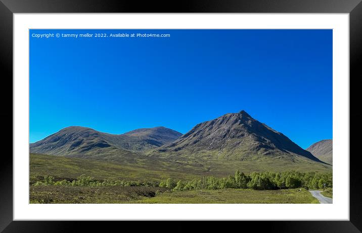 Majestic Scottish Highlands Landscape Framed Mounted Print by tammy mellor