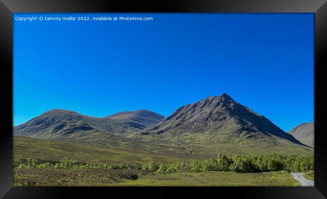 Majestic Scottish Highlands Landscape Framed Print by tammy mellor