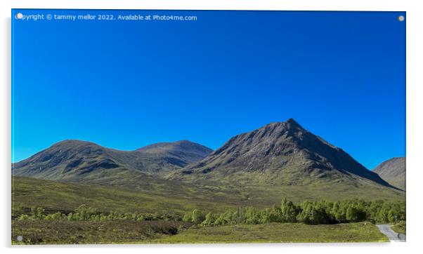 Majestic Scottish Highlands Landscape Acrylic by tammy mellor