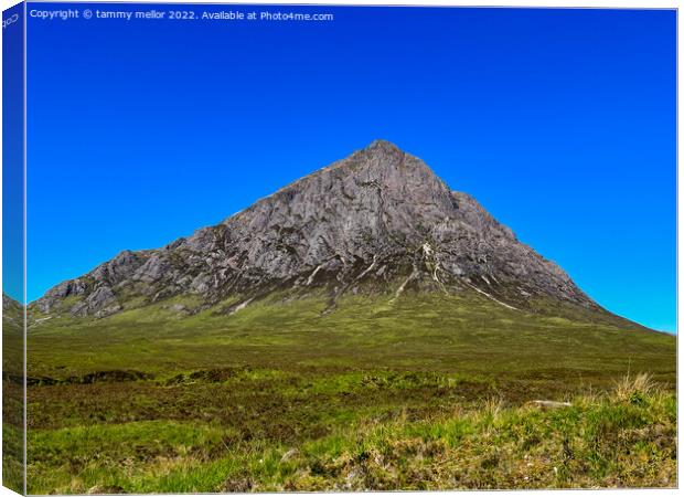 Majestic Corrour Mountain Canvas Print by tammy mellor