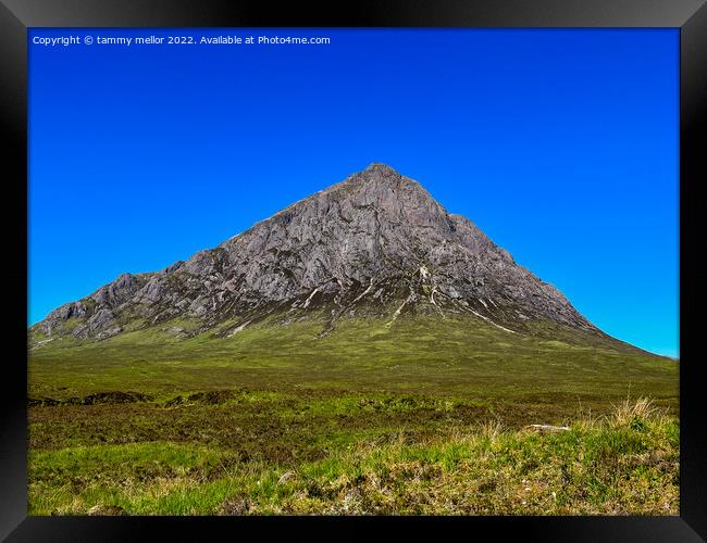 Majestic Corrour Mountain Framed Print by tammy mellor