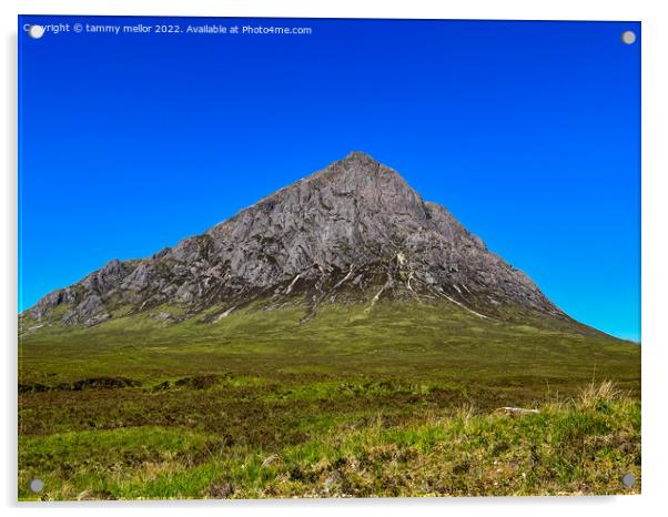 Majestic Corrour Mountain Acrylic by tammy mellor