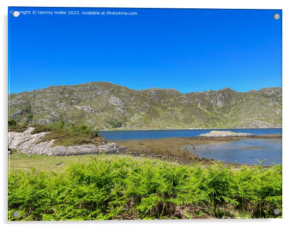 Majestic Lochailort Landscape Acrylic by tammy mellor
