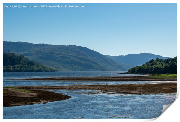 Majestic Scottish Highlands Print by tammy mellor