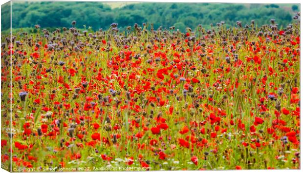 Cotswold meadow  field Canvas Print by Simon Johnson
