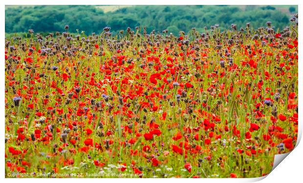 Cotswold meadow  field Print by Simon Johnson