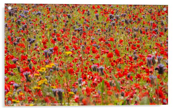 meadow  field Acrylic by Simon Johnson