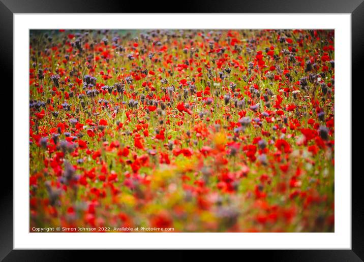 Cotswold meadow flowers Framed Mounted Print by Simon Johnson
