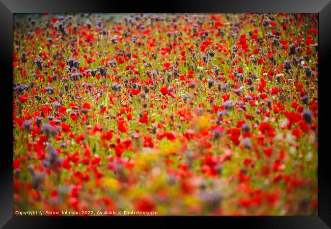 Cotswold meadow flowers Framed Print by Simon Johnson