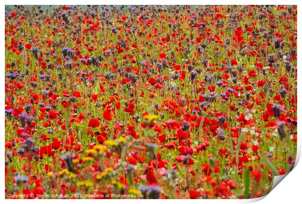 Poppy field with meadow flowers Print by Simon Johnson