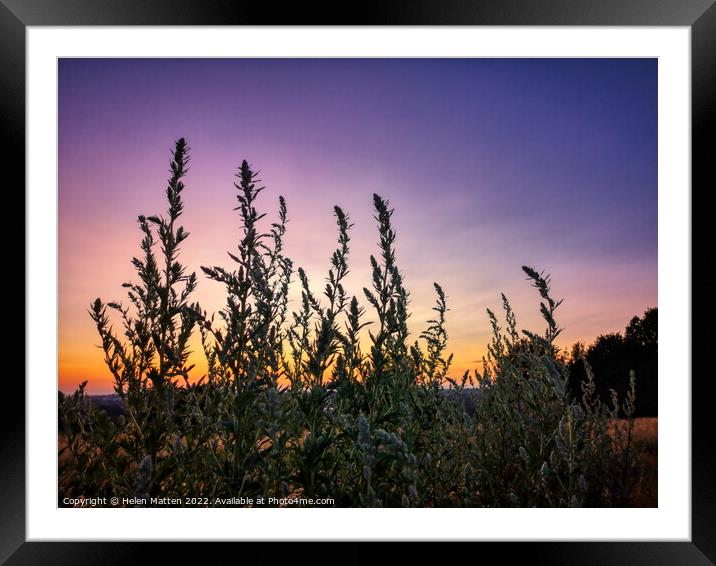 Purple Lemon and Orange Sunset  Framed Mounted Print by Helkoryo Photography
