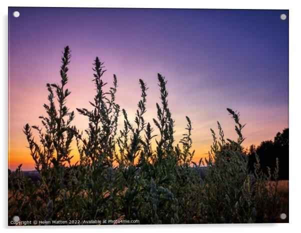 Purple Lemon and Orange Sunset  Acrylic by Helkoryo Photography