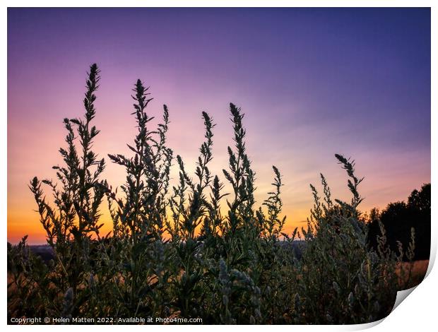 Purple Lemon and Orange Sunset  Print by Helkoryo Photography