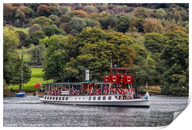 Tern on Lake Windermere Cumbria England Print by Phil Longfoot