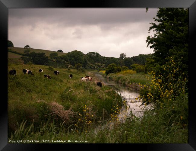 Stroll from Stress. Framed Print by Mark Ward