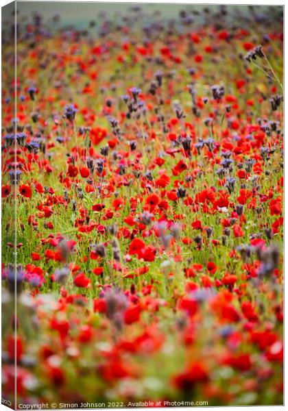 Poppies and meadow flowers Canvas Print by Simon Johnson