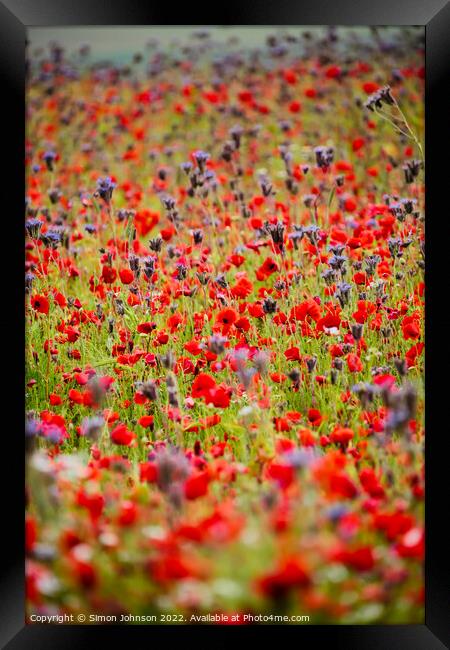 Poppies and meadow flowers Framed Print by Simon Johnson