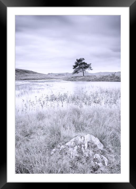 Kelly Hall Tarn Coniston  Framed Mounted Print by Phil Durkin DPAGB BPE4