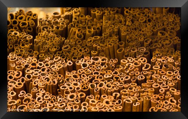 Stack of  of Cinnamon sticks in view Framed Print by Turgay Koca