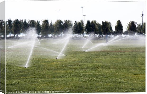 Lawn water sprinkler spraying water over green grass  Canvas Print by Turgay Koca
