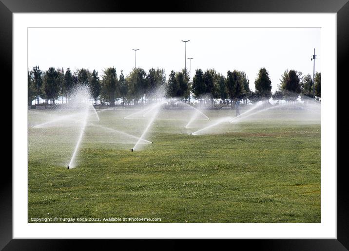 Lawn water sprinkler spraying water over green grass  Framed Mounted Print by Turgay Koca