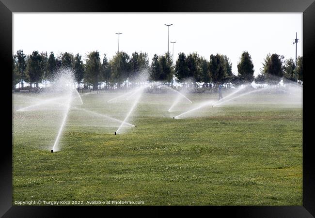 Lawn water sprinkler spraying water over green grass  Framed Print by Turgay Koca
