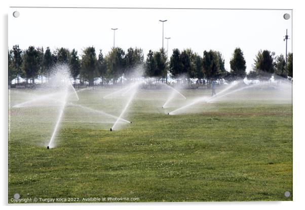 Lawn water sprinkler spraying water over green grass  Acrylic by Turgay Koca