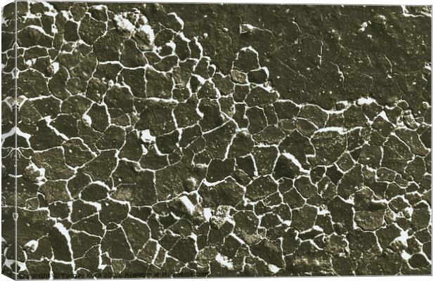 Crack concrete textured as abstract grunge background Canvas Print by Turgay Koca
