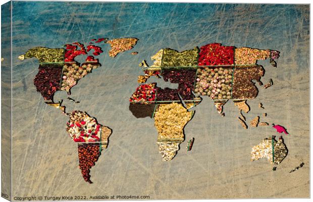 Roughly outlined world map with veraity of spice filling Canvas Print by Turgay Koca