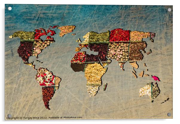 Roughly outlined world map with veraity of spice filling Acrylic by Turgay Koca