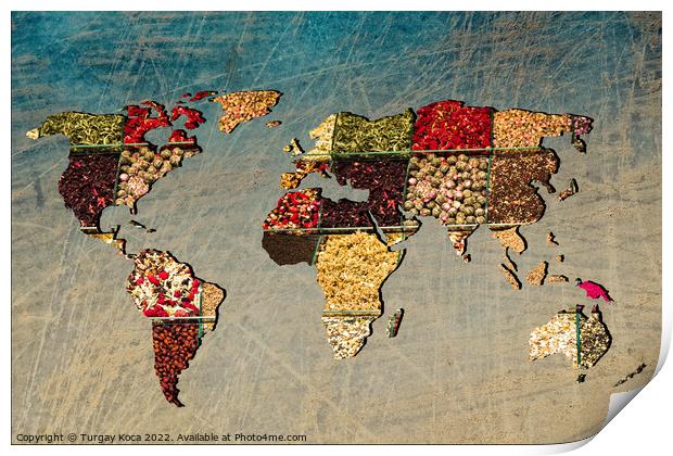 Roughly outlined world map with veraity of spice filling Print by Turgay Koca