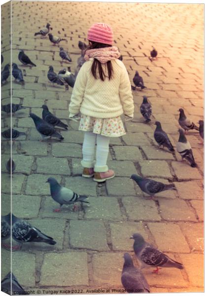 Little girl amid grey pigeons live in large groups in urban  Canvas Print by Turgay Koca