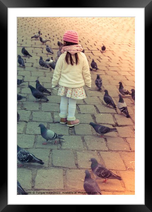 Little girl amid grey pigeons live in large groups in urban  Framed Mounted Print by Turgay Koca