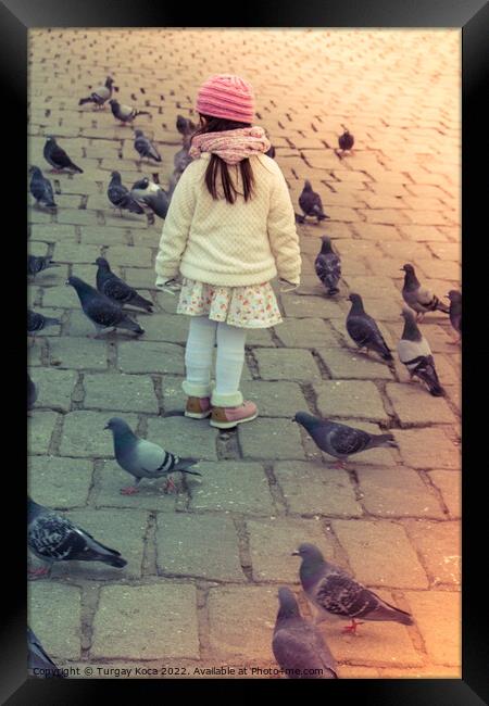 Little girl amid grey pigeons live in large groups in urban  Framed Print by Turgay Koca