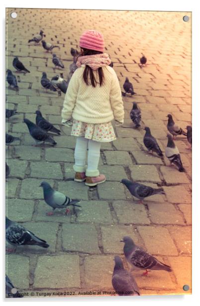 Little girl amid grey pigeons live in large groups in urban  Acrylic by Turgay Koca