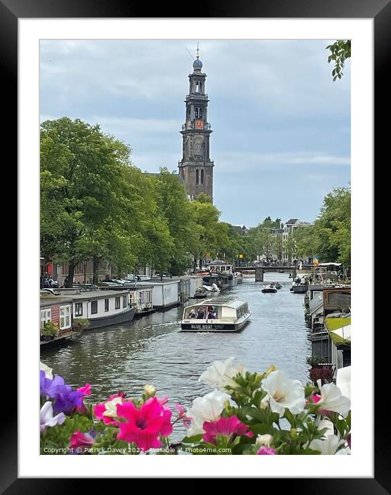 Amsterdam canals in summer Framed Mounted Print by Patrick Davey