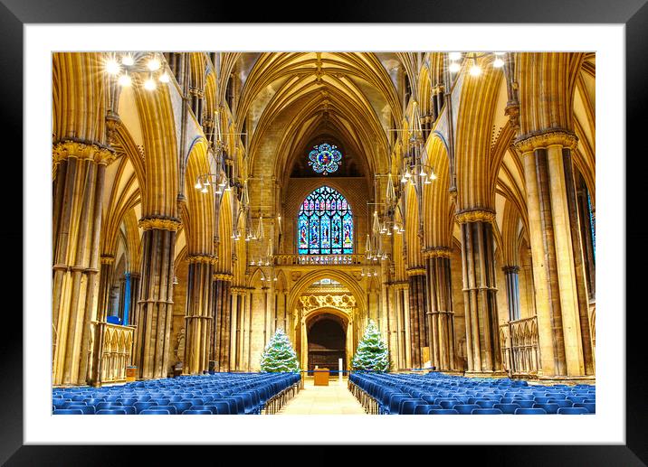 Lincoln Cathedral Interior  Framed Mounted Print by Alison Chambers
