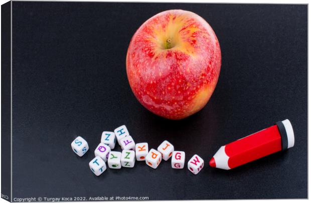 Back to school theme with an apple Canvas Print by Turgay Koca
