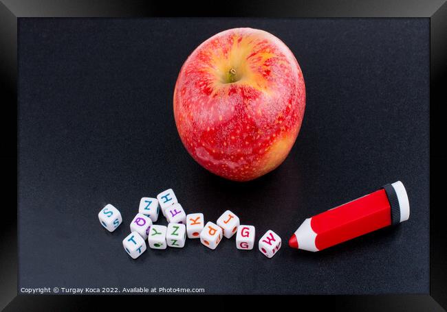 Back to school theme with an apple Framed Print by Turgay Koca