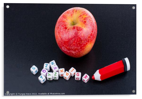 Back to school theme with an apple Acrylic by Turgay Koca
