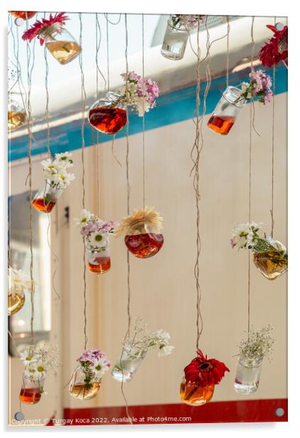 Herbal tea bottles hanging on strings Acrylic by Turgay Koca