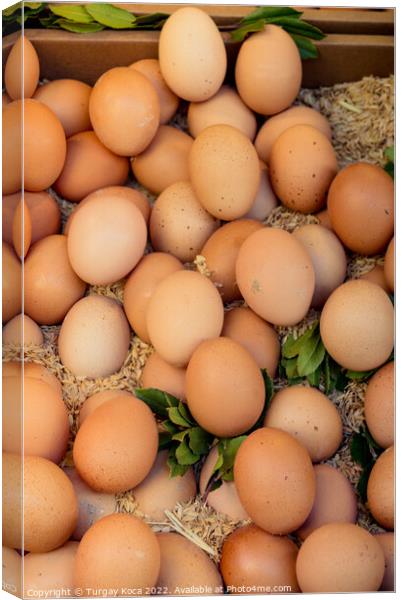 Organic fresh farm eggs at the market Canvas Print by Turgay Koca