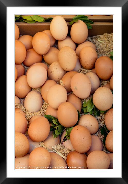 Organic fresh farm eggs at the market Framed Mounted Print by Turgay Koca