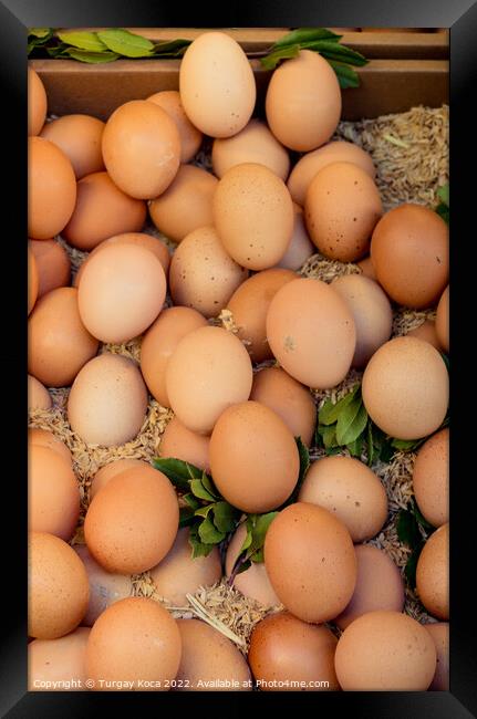 Organic fresh farm eggs at the market Framed Print by Turgay Koca