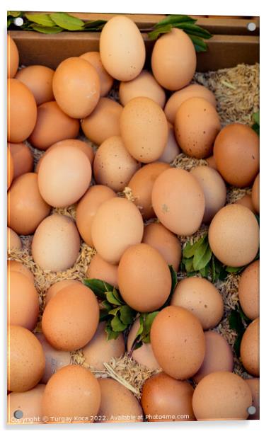 Organic fresh farm eggs at the market Acrylic by Turgay Koca