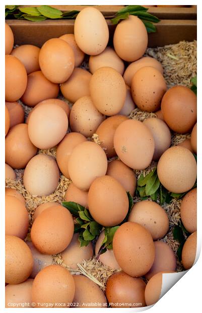 Organic fresh farm eggs at the market Print by Turgay Koca
