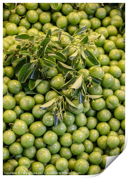  Green unripe plums in bazaar market place Print by Turgay Koca